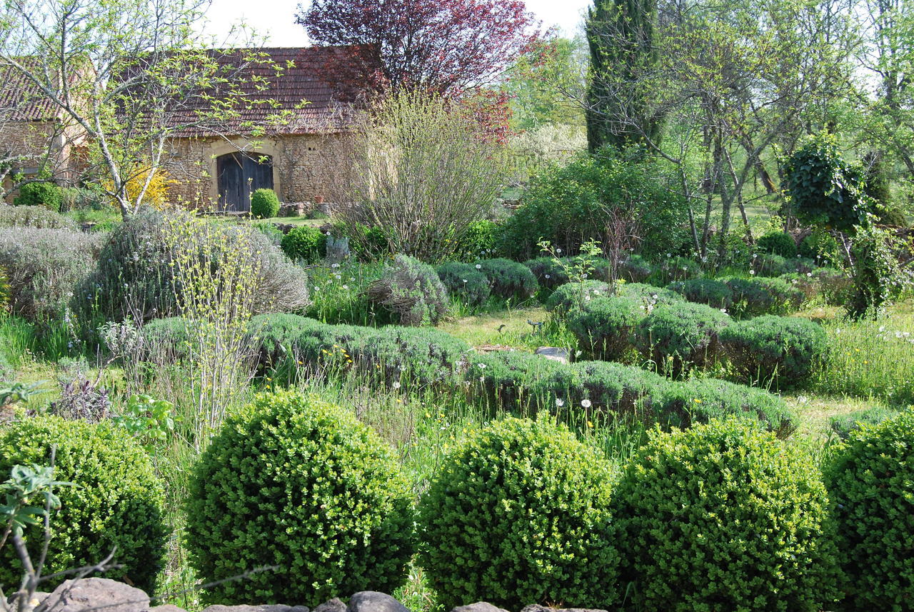 Saint-Cirq  La Charmeraie Bed & Breakfast エクステリア 写真