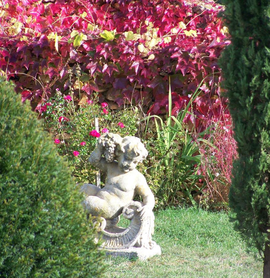 Saint-Cirq  La Charmeraie Bed & Breakfast エクステリア 写真